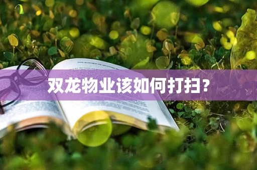 双龙物业该如何打扫？