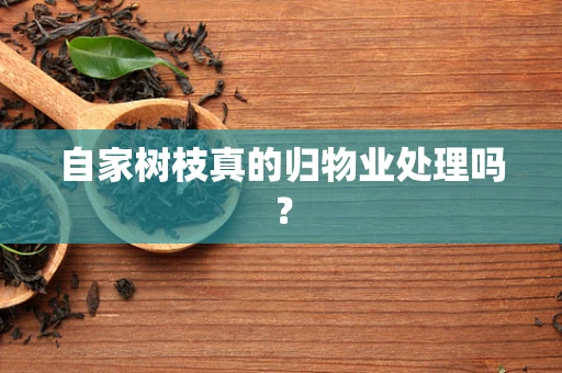 自家树枝真的归物业处理吗？