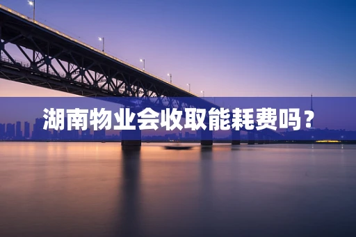 湖南物业会收取能耗费吗？