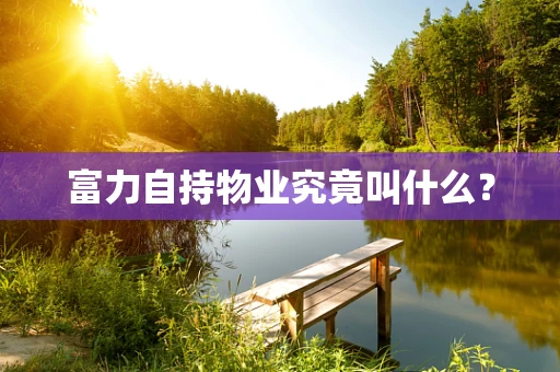 富力自持物业究竟叫什么？