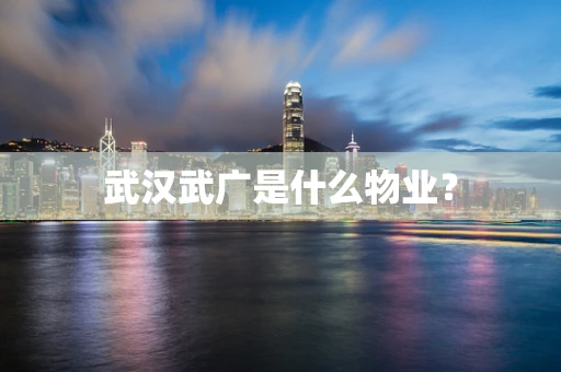武汉武广是什么物业？