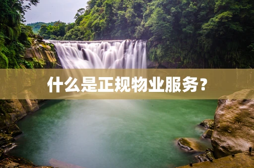 什么是正规物业服务？