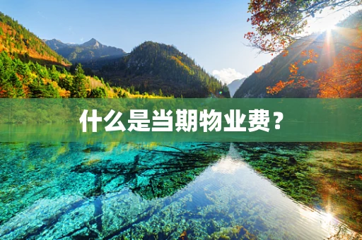 什么是当期物业费？