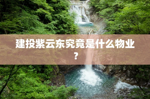 建投紫云东究竟是什么物业？