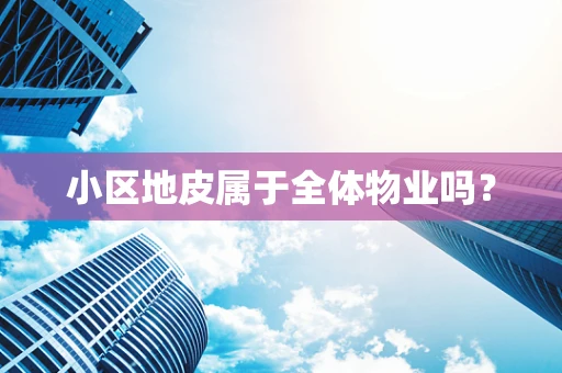 小区地皮属于全体物业吗？
