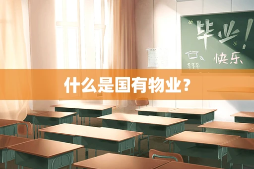 什么是国有物业？
