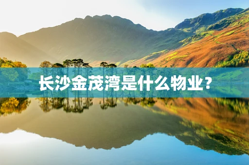 长沙金茂湾是什么物业？