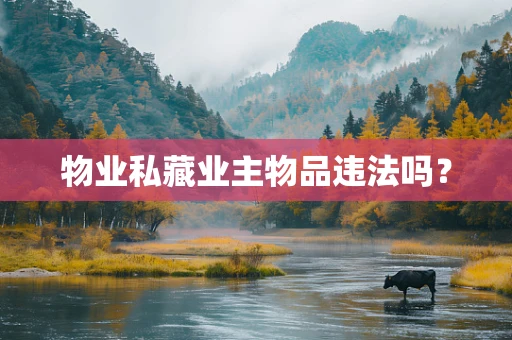 物业私藏业主物品违法吗？