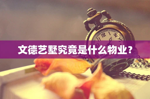 文德艺墅究竟是什么物业？