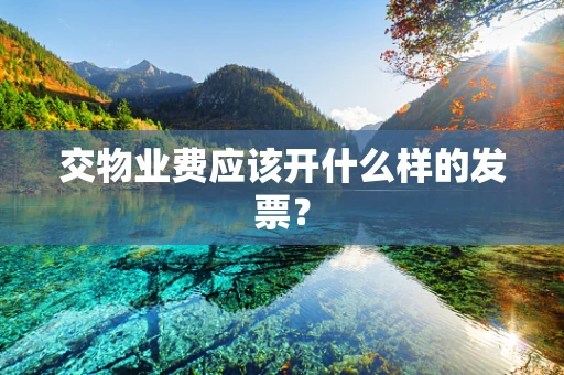 交物业费应该开什么样的发票？