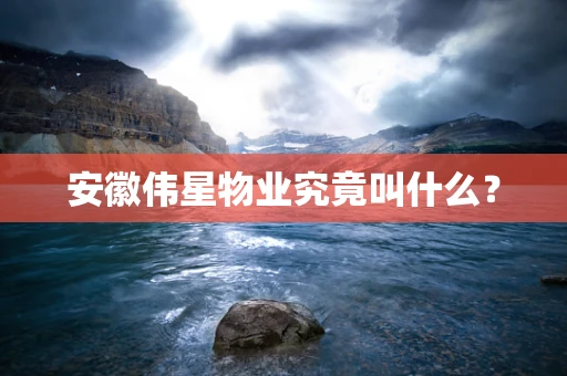 安徽伟星物业究竟叫什么？