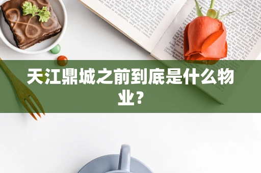 天江鼎城之前到底是什么物业？