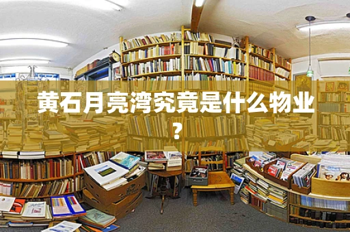 黄石月亮湾究竟是什么物业？
