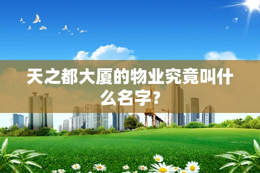天之都大厦的物业究竟叫什么名字？
