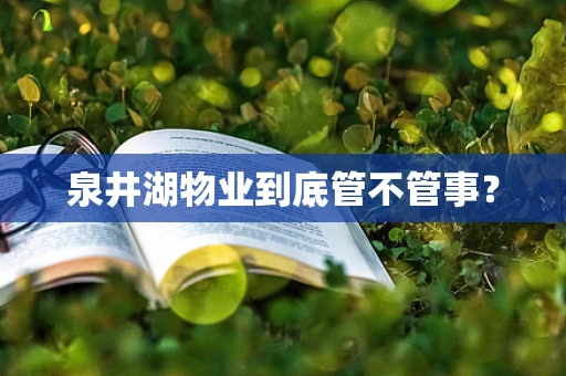 泉井湖物业到底管不管事？