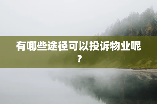 有哪些途径可以投诉物业呢？
