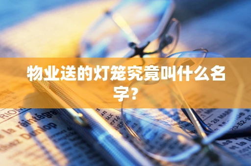 物业送的灯笼究竟叫什么名字？