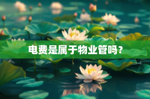 电费是属于物业管吗？