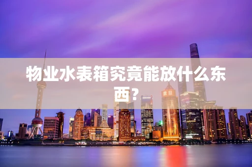 物业水表箱究竟能放什么东西？