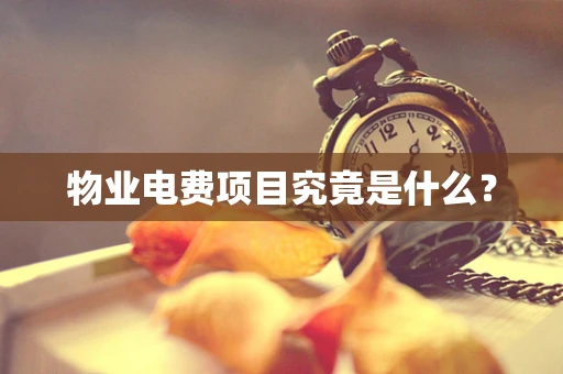 物业电费项目究竟是什么？