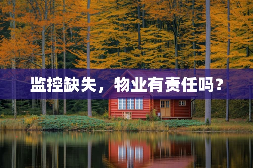 监控缺失，物业有责任吗？