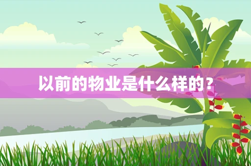 以前的物业是什么样的？