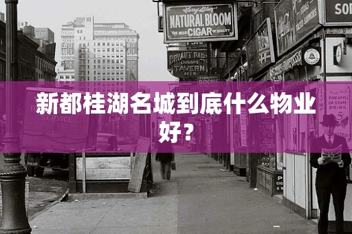 新都桂湖名城到底什么物业好？
