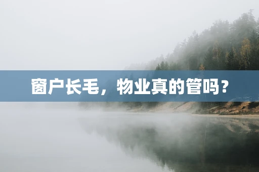 窗户长毛，物业真的管吗？
