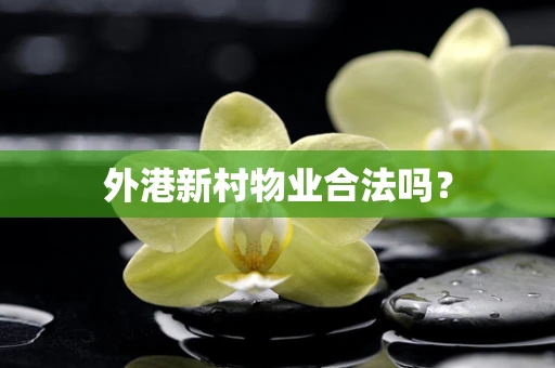 外港新村物业合法吗？