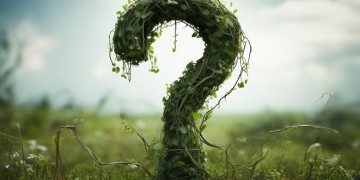 为什么不能查物业电话呢？