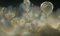 单位的物业补贴究竟是什么？