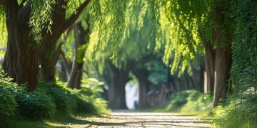 柳林路是否有物业管理？